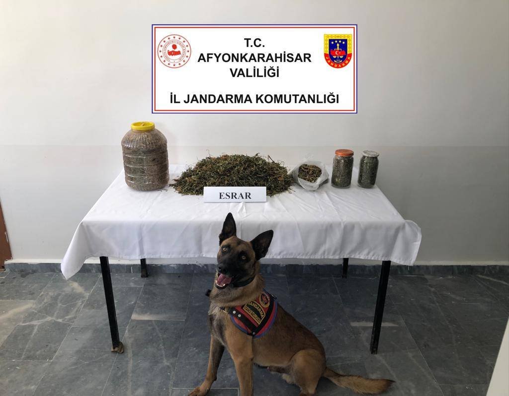 Jandarma Sultandağı İlçesinde Uyuşturucu Operasyonu Yaptı